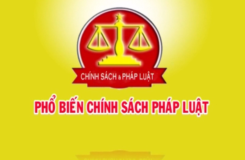 Chính sách pháp luật có hiệu lực trong tháng 11